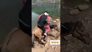 🤣
