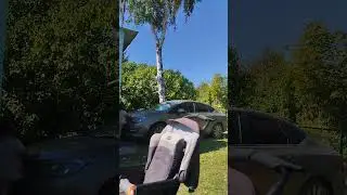 1 сентября 2024 г.