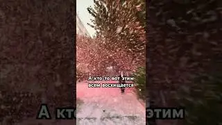 Для кого-то эта красота не имеет смысла А кто-то вот этим восхищается 