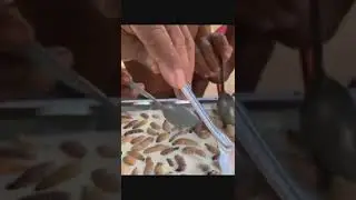 Блюдо из живых личинок на молоке