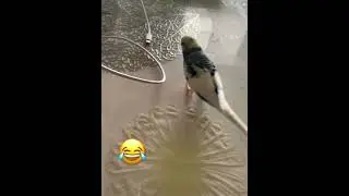 😂😂😂😂