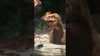 Сколько лет жили Динозавры 