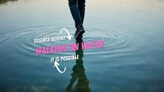 Can You Walk on Water? #physics #surfacetension #funwithscience #fun
