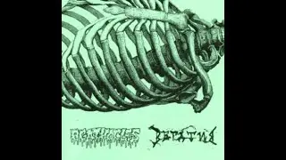Vegativ split with Agathocles (2009)