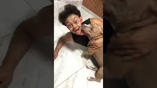 Pitbull smigol kkkk