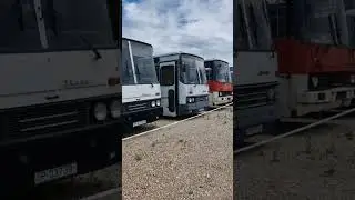 Ikarus