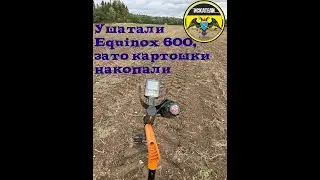 Ушатали equinox 600 из-за ведра картошки.