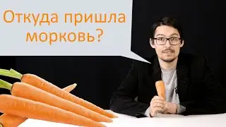 Очерк о зонтичных...