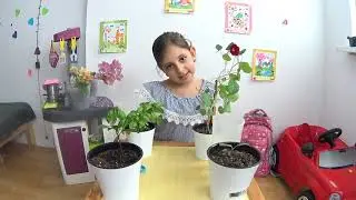 #5 Масяша собирает урожай | Детская теплица | Масяша Лайф Влог