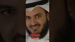 Красивое чтение корана популярных чтецов