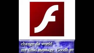 F to  adobe Flash player