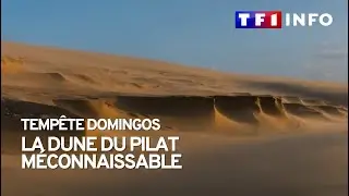 La dune du Pilat resculptée par les vents.
