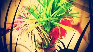 Kağıttan Çiçek Yapımı | DIY Paper Flowers - How To Make  Flowers