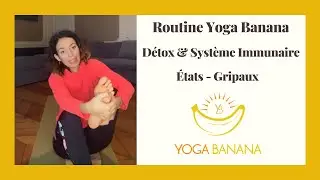 Détox - Stimulation du système immunitaire - Etat gripaux