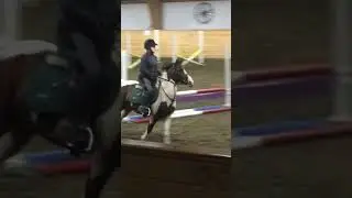 Faceplant in oxer