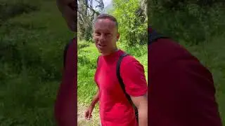 Рискнули бы попробовать дерево на Кавказе!? По вкусу похоже на укроп! Ахааххаха!