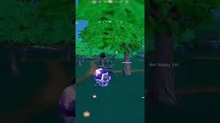 I killed PeterBot in the Zero Build Cup