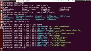 Run Code During the Boot up in Ubuntu/Raspberry Pi