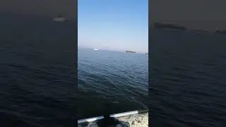 15 июня 2024 г.