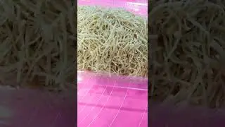 заготовка домашней яичной лапши на Тукмач аш
