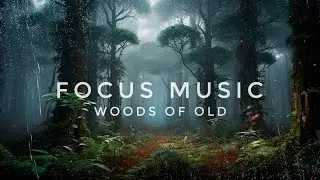 Focus Music | Deep Healing Ambient | Magical Rainy Woods