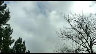 driving circles