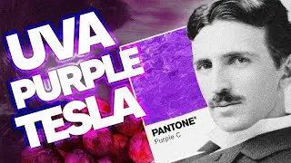 3 6 9 UVA PURPLE TESLA 🍇💜🚗 || Zawezo 33° TikTok