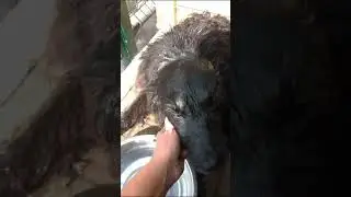 Ах, мечты, мечты 💦 🌈☀️ А о чем мечтаете Вы?