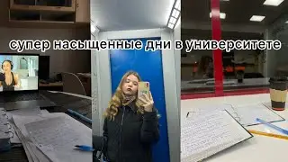 будни студентки Плехановки