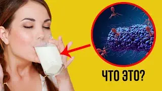 Почему молоко нас убивает