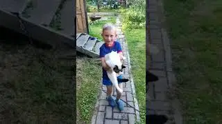 11 июля 2024 г.