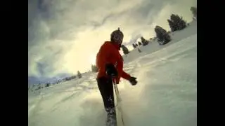 Best of Austria 2014