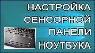 Customize the touchpad of the laptop.