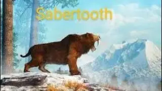 How Sabertooth ruled the planet nature secret