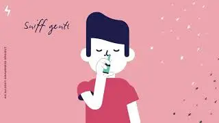 What is Hay Fever?