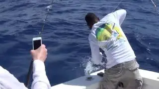 Fishing in Dominicana, Dorado Mahi Mahi