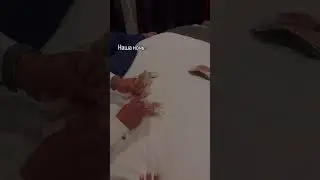 было? подписывайтесь 💗