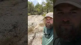 Chalky Washes in the Blackbelt! #grasslands #wildhorseprairie #blackbeltprairie #alabama