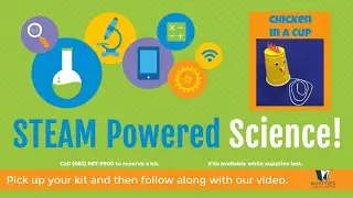 STEAM Powered Science-Chicken cup