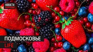 Безопасность на воде и ягодный сезон: Подмосковье LIFE