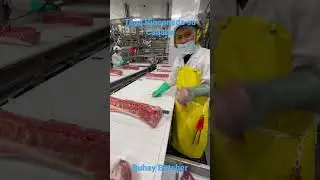 Buhay Butcher!