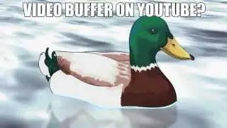 BUFFER - Actual Advice Mallard