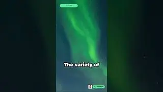 Exploring the Mysteries of the Human Aura