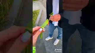 очки из ножика