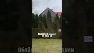 Как живут поляки 