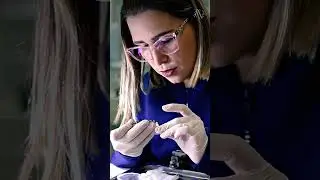 Especialização em endodontia - Hands On de obturação do tratamento endodôntico