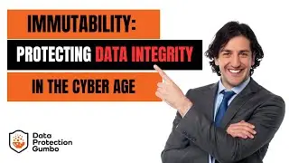 Immutability: Protecting Data Integrity in the Cyber Age