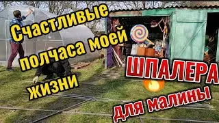 Тепло февраль весенняя работа в саду, счастье по станичному, шпалера для малины, рекомендация