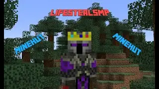 LifeSteal SMP Plugin Tutorial (MINEHUT)