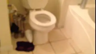 Das a toilet 2